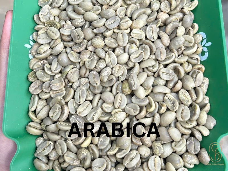 Cà phê Arabica