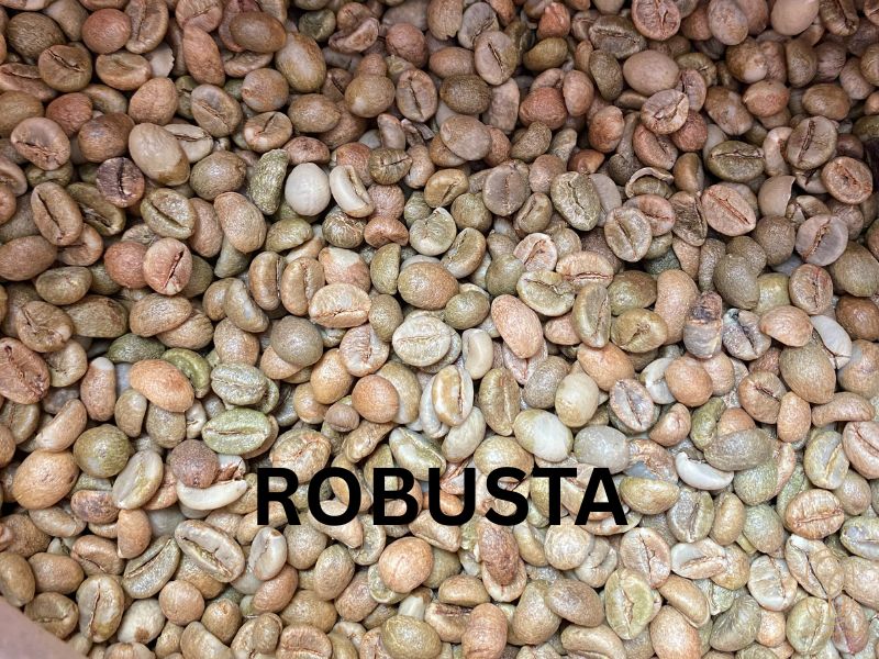 Cà phê Robusta