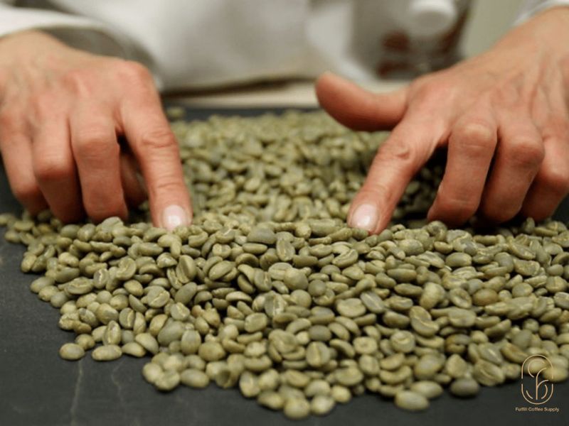 Tác động của chất lượng cà phê nhân xanh đến mẻ rang cuối