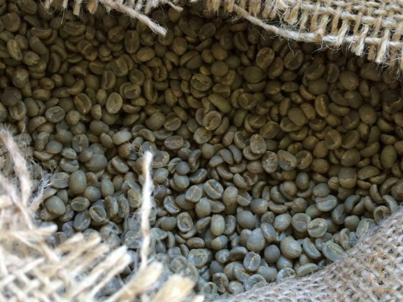 Tiêu chí chọn cà phê nhân xanh