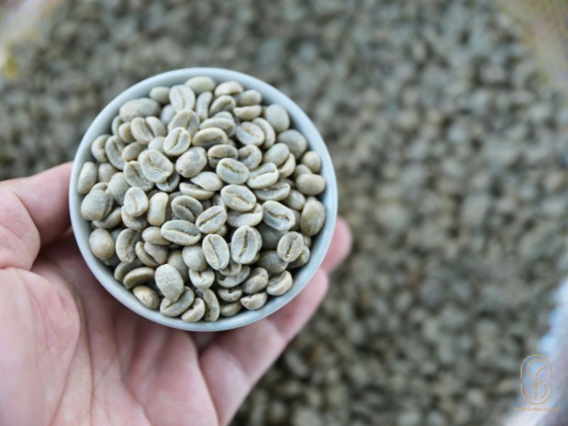 Cà phê nhân xanh là gì?