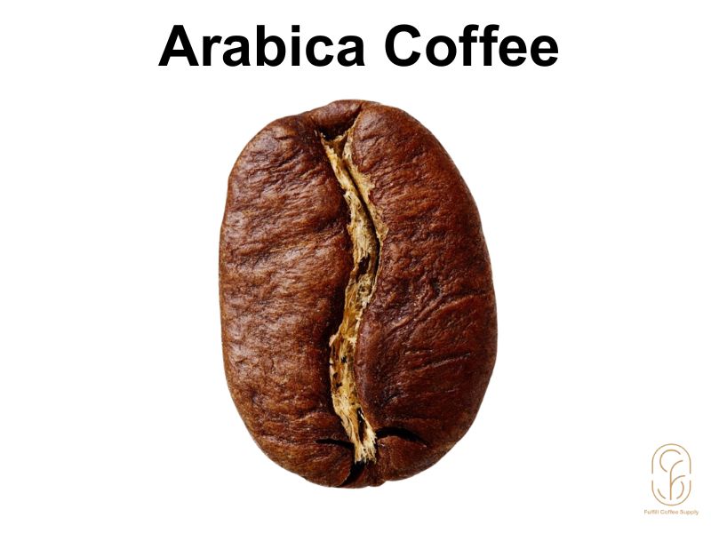 Hạt cà phê Arabcia